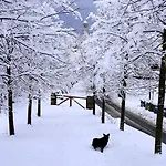 Ξενοδοχείο Pian Del Sole