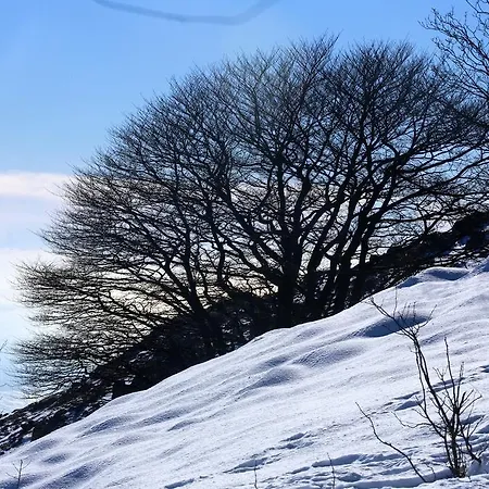 Pian Del Sole 호텔