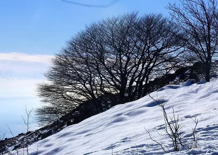 Pian Del Sole فندق